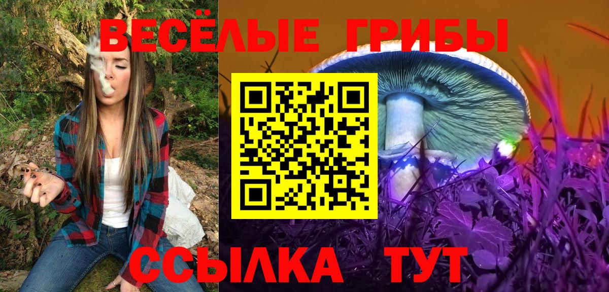 Рыбинск  Псилоцибиновые грибы Psilocybine cubensis  Вход с VPN 
